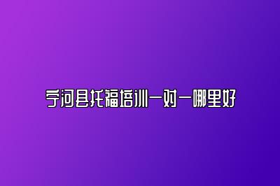 宁河县托福培训一对一哪里好