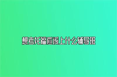 想考托福应该上什么辅导班