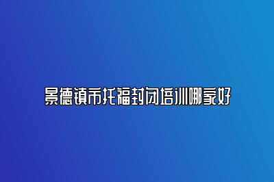 景德镇市托福封闭培训哪家好