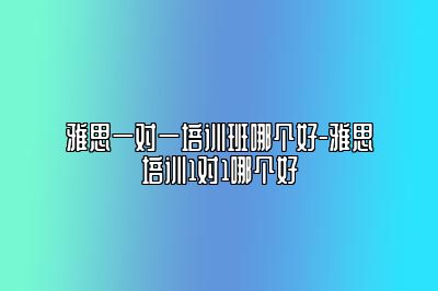 雅思一对一培训班哪个好-雅思培训1对1哪个好