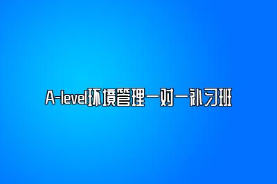 A-level环境管理一对一补习班