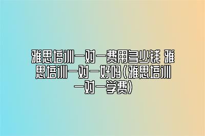 雅思培训一对一费用多少钱 雅思培训一对一好吗(雅思培训一对一学费)