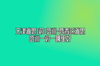 天津雅思1对1培训-西青区雅思培训一对一哪里好