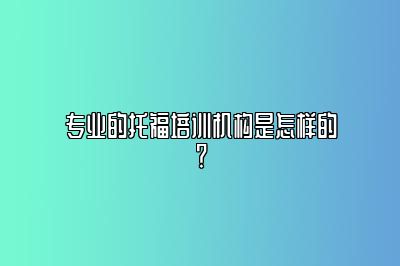 专业的托福培训机构是怎样的？