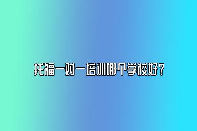 托福一对一培训哪个学校好？