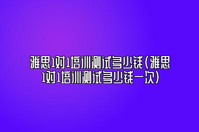 雅思1对1培训测试多少钱(雅思1对1培训测试多少钱一次)