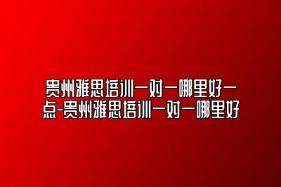 贵州雅思培训一对一哪里好一点-贵州雅思培训一对一哪里好