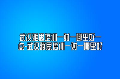 武汉雅思培训一对一哪里好一点-武汉雅思培训一对一哪里好