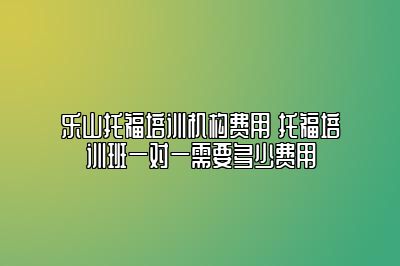 乐山托福培训机构费用 托福培训班一对一需要多少费用