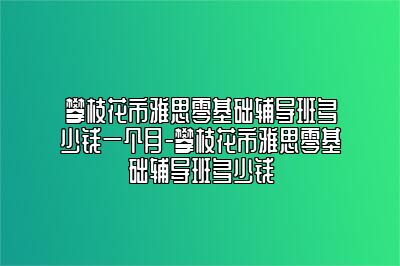 攀枝花市雅思零基础辅导班多少钱一个月-攀枝花市雅思零基础辅导班多少钱