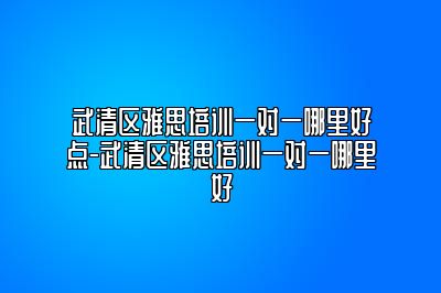 武清区雅思培训一对一哪里好点-武清区雅思培训一对一哪里好