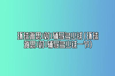 环球雅思1对1辅导多少钱(环球雅思1对1辅导多少钱一节)