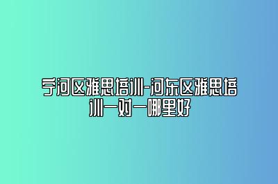 宁河区雅思培训-河东区雅思培训一对一哪里好