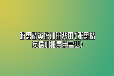 雅思精英培训班费用(雅思精英培训班费用多少)