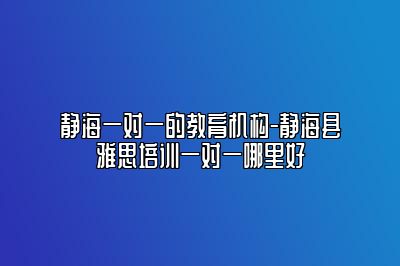 静海一对一的教育机构-静海县雅思培训一对一哪里好