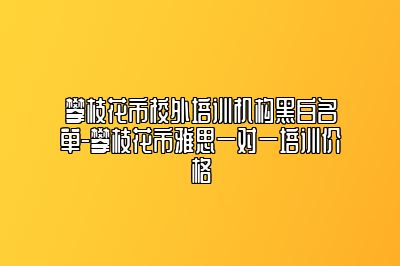 攀枝花市校外培训机构黑白名单-攀枝花市雅思一对一培训价格