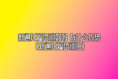 新通托福培训好吗 有什么优势(新通托福培训班)