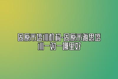 固原市培训机构-固原市雅思培训一对一哪里好