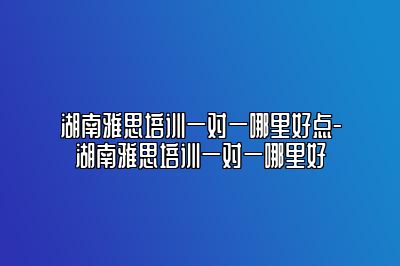 湖南雅思培训一对一哪里好点-湖南雅思培训一对一哪里好