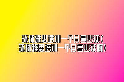 环球雅思培训一个月多少钱(环球雅思培训一个月多少钱啊)