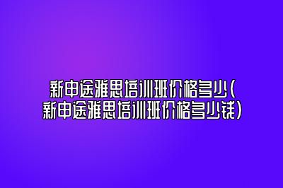 新申途雅思培训班价格多少(新申途雅思培训班价格多少钱)