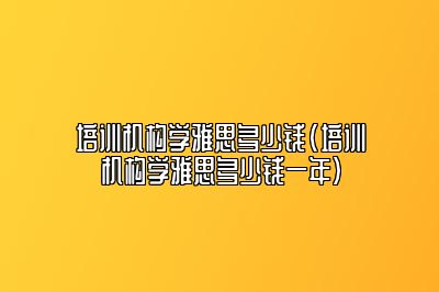 培训机构学雅思多少钱(培训机构学雅思多少钱一年)