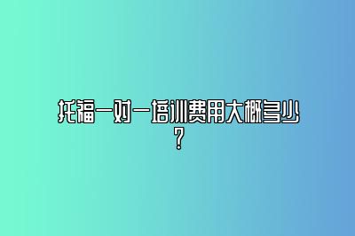托福一对一培训费用大概多少？