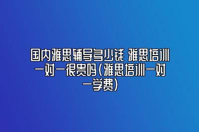 国内雅思辅导多少钱 雅思培训一对一很贵吗(雅思培训一对一学费)