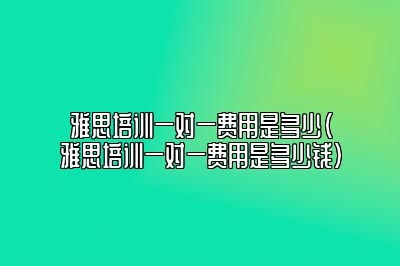 雅思培训一对一费用是多少(雅思培训一对一费用是多少钱)