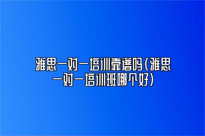 雅思一对一培训靠谱吗(雅思一对一培训班哪个好)