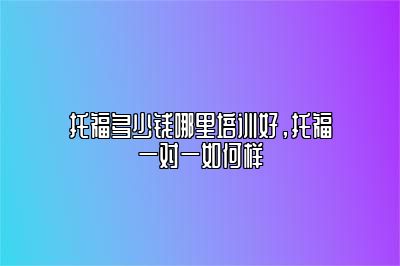 托福多少钱哪里培训好，托福一对一如何样