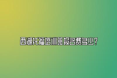 西湖托福培训班报名费多少？