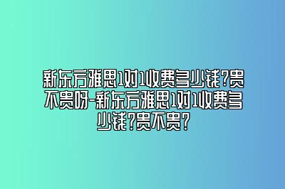 新东方雅思1对1收费多少钱?贵不贵呀-新东方雅思1对1收费多少钱？贵不贵？
