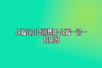 托福1对1培训费用-托福一对一有用吗