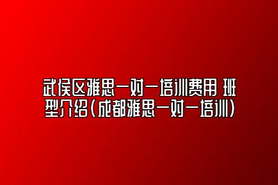 武侯区雅思一对一培训费用 班型介绍(成都雅思一对一培训)