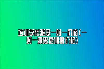 培训学校雅思一对一价格(一对一雅思培训班价格)