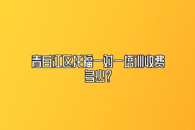 青白江区托福一对一培训收费多少？
