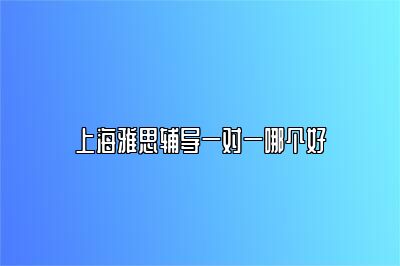 上海雅思辅导一对一哪个好