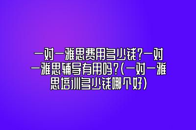 一对一雅思费用多少钱？一对一雅思辅导有用吗？(一对一雅思培训多少钱哪个好)