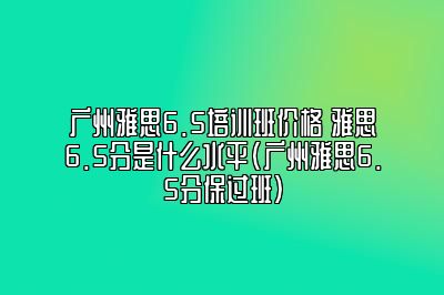 广州雅思6.5培训班价格 雅思6.5分是什么水平(广州雅思6.5分保过班)