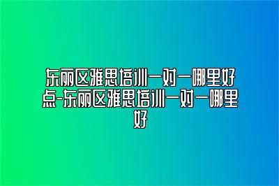 东丽区雅思培训一对一哪里好点-东丽区雅思培训一对一哪里好