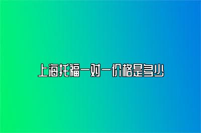 上海托福一对一价格是多少