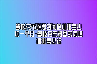 攀枝花市雅思封闭培训班多少钱一个月-攀枝花市雅思封闭培训班多少钱