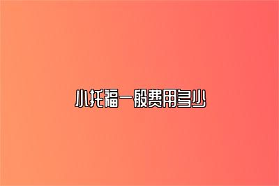 小托福一般费用多少