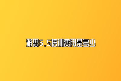 雅思6.5培训费用是多少