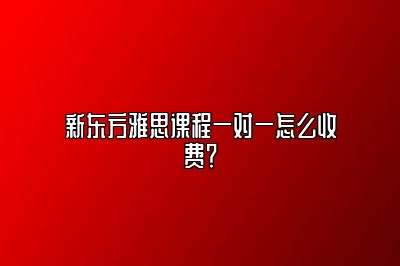 新东方雅思课程一对一怎么收费？