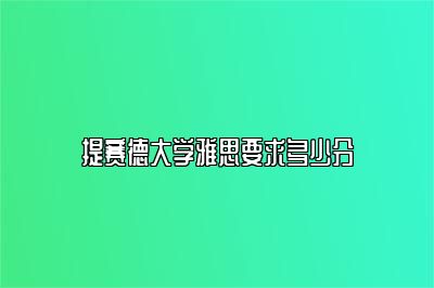 提赛德大学雅思要求多少分