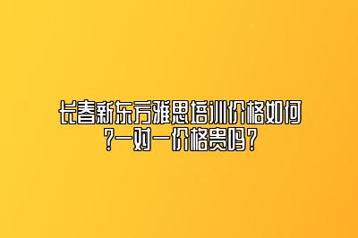 长春新东方雅思培训价格如何？一对一价格贵吗？