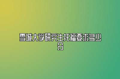 雪城大学研究生托福要求多少分