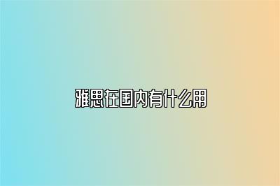 雅思在国内有什么用